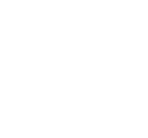 Victrex Digitalisation Project