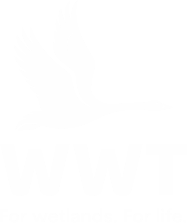 WWT Logo